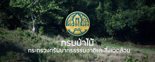กรมป่าไม้ ประกาศรับสมัครพนักงานราชการ จำนวน 63 อัตรา ตั้งแต่วันที่ 7 - 15 กันยายน 2566